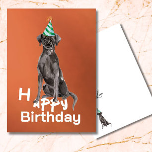 Labrador Dog Happy Birthday Greeting Card 