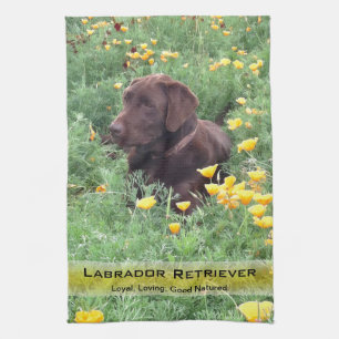 Labrador Dog in California Poppy Patch Photography Tea Towel