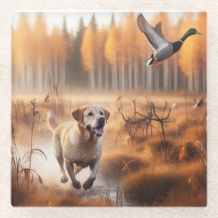 Labrador/dog in the autumn duck hunt glass coaster