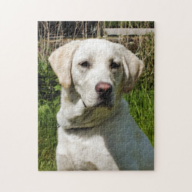 LABRADOR DOG JIGSAW PUZZLE (Vertical)