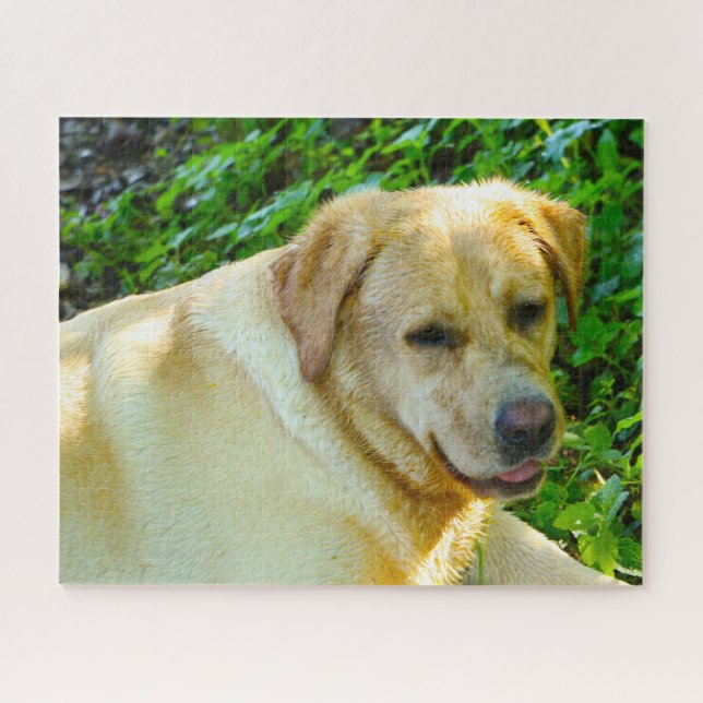 Labrador Dog. Jigsaw Puzzle (Horizontal)