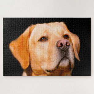 Labrador Dog. Jigsaw Puzzle