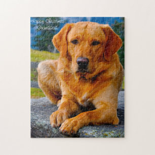 Labrador Dog. Jigsaw Puzzle