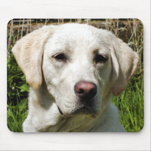 LABRADOR DOG MOUSE PAD