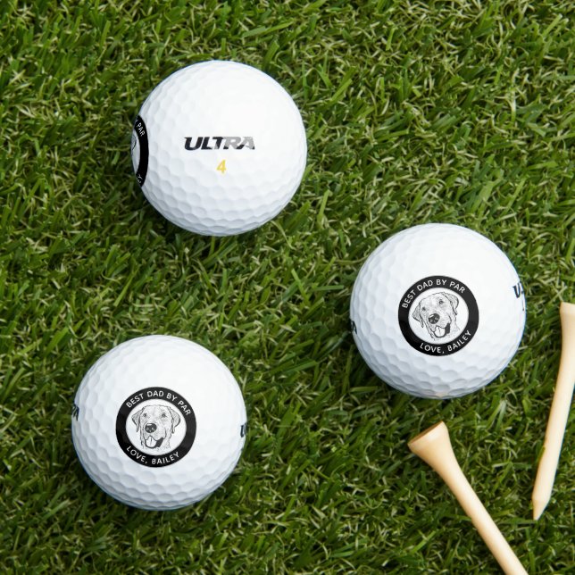Labrador Dog Personalised Hand Drawing Golf Balls (Insitu Grass)