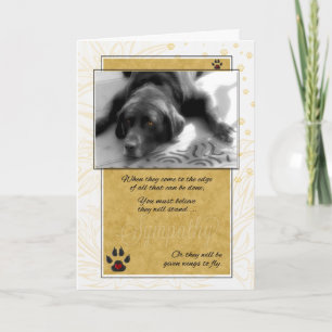 Labrador Dog Pet Sympathy Card