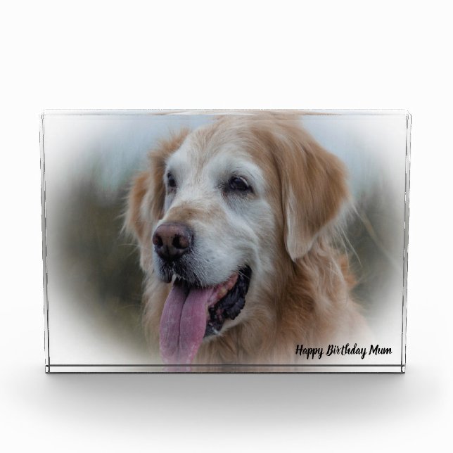 Labrador Dog Photo Block (Front)