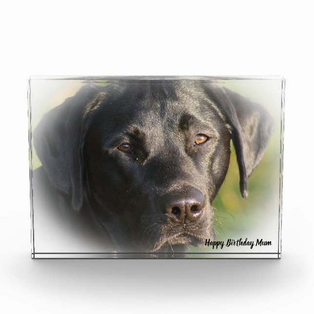 Labrador Dog Photo Block (Front)