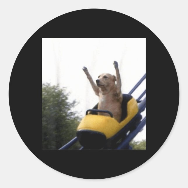 Labrador Dog Roller Coaster Funny Meme Classic Round Sticker (Front)