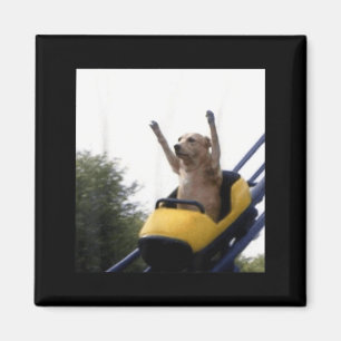 Labrador Dog Roller Coaster Funny Meme Magnet