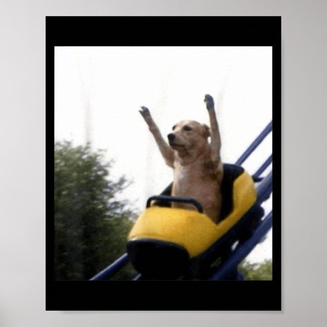Labrador Dog Roller Coaster Funny Meme Poster (Front)