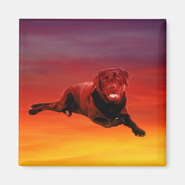 Labrador Dog Sitting on Beach Magnet (Front)