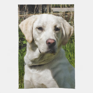 LABRADOR DOG TEA TOWEL