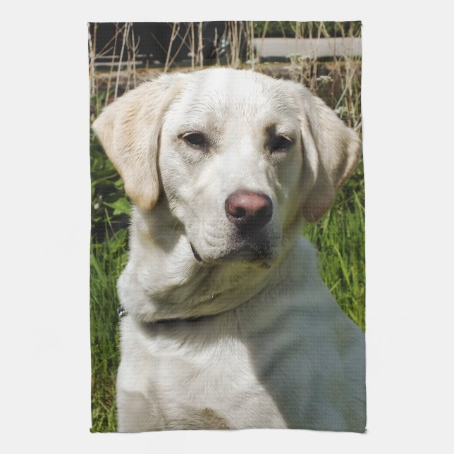 LABRADOR DOG TEA TOWEL (Vertical)