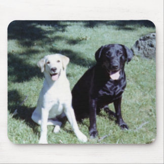 Labrador Dogs Mouse Pad