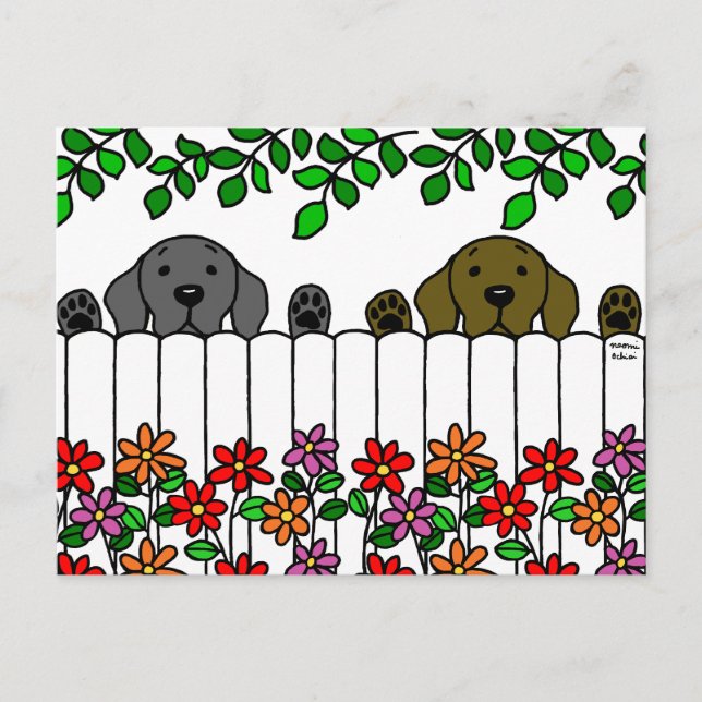 Labrador Duo Watching You Postcard (Front)