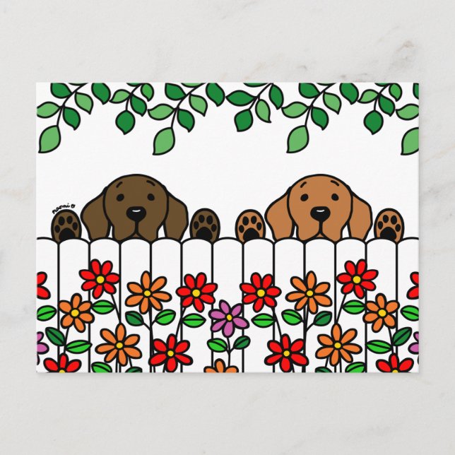Labrador Duo Watching You Postcard (Front)