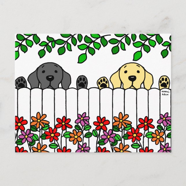 Labrador Duo Watching You Postcard (Front)
