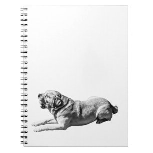 Labrador Ease – Notes in Black & White Notebook