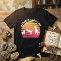 Labrador Evolution Funny White Silhouette Sunset
