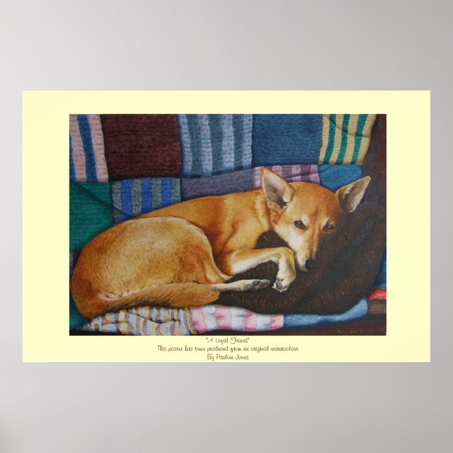labrador german shepherd mixed breed dog poster (Front)