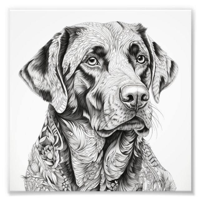 Labrador Gift Card Photo Print (Front)