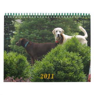 Labrador & Golden Calendar
