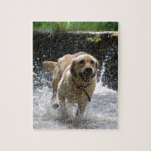 Labrador Jigsaw Puzzle