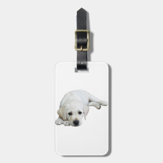 Labrador Looking Upwards Luggage Tag