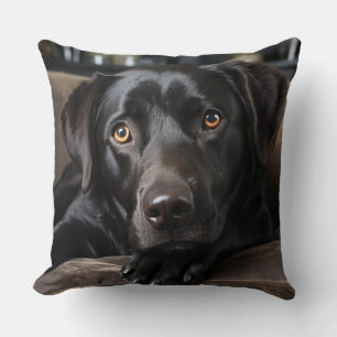 Labrador Love Cushion