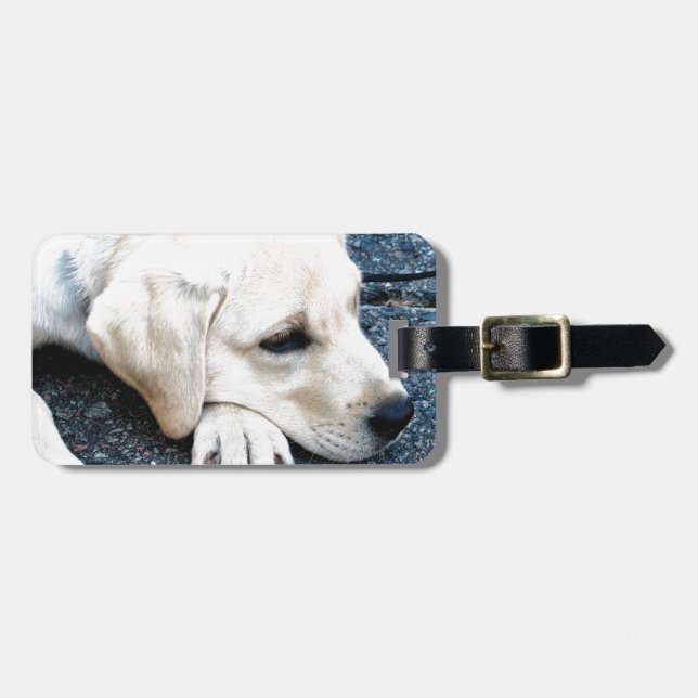 Labrador Luggage Tag (Front Horizontal)