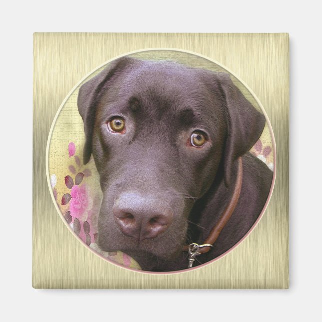 Labrador Magnet (Front)