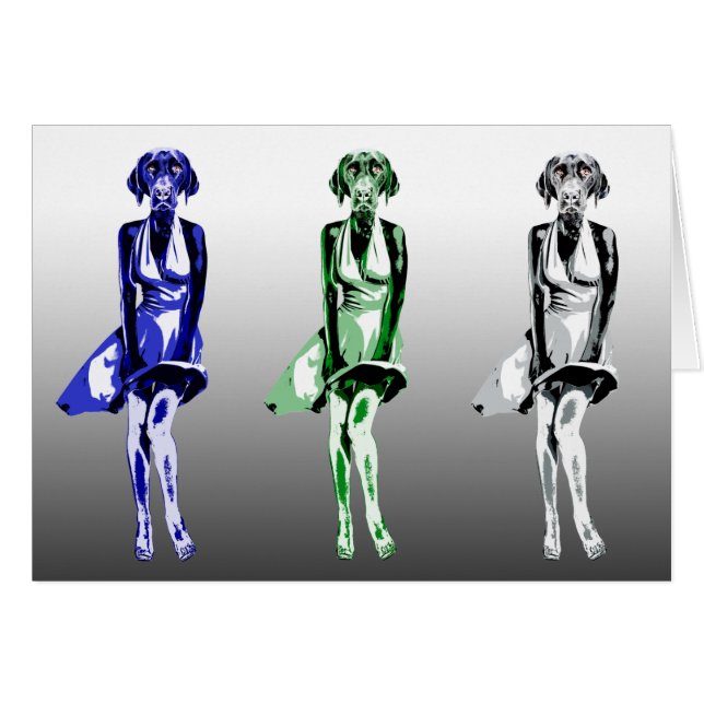 Labrador Monroe - style (Front Horizontal)