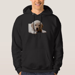 Labrador Nap Time Hoodie