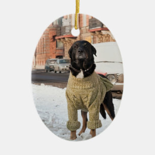 Labrador Photo Christmas Ornament