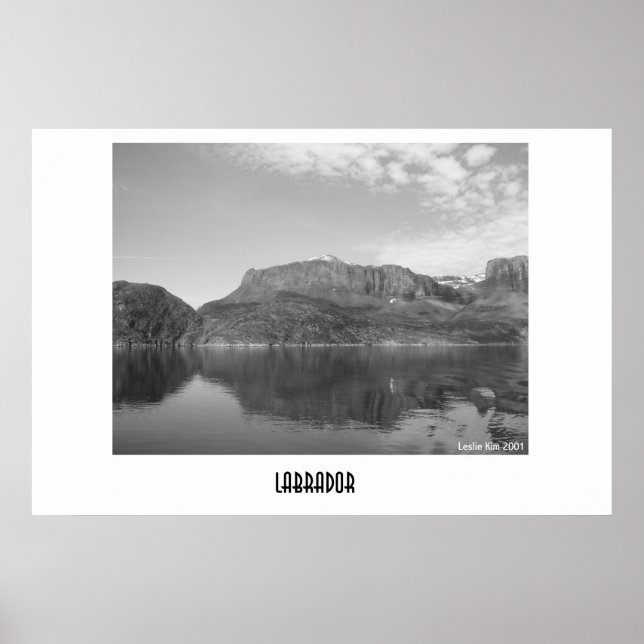 Labrador Poster (Front)