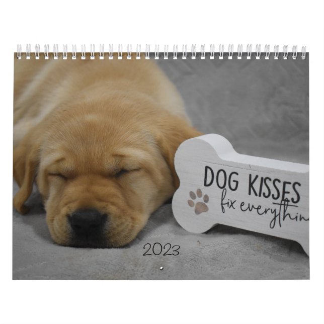 Labrador Puppies Calendar (Cover)
