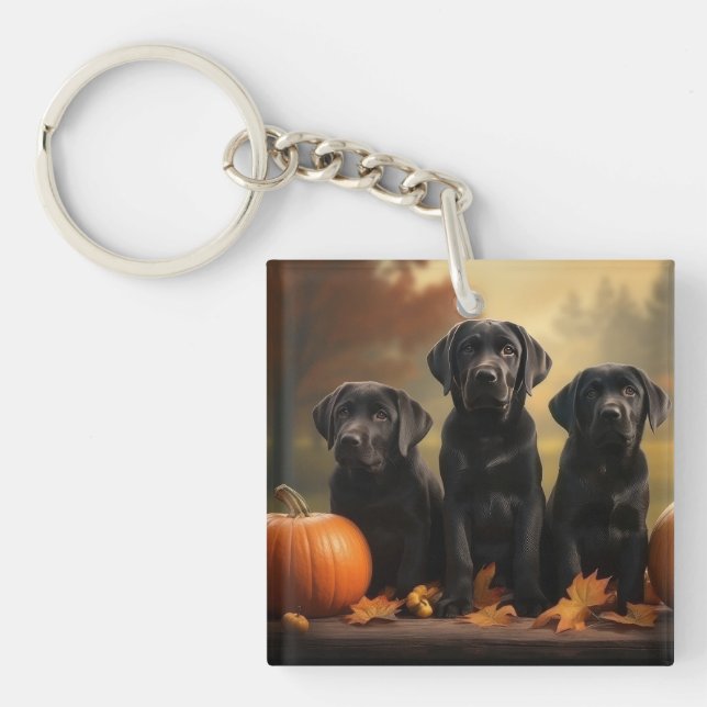 Labrador Puppy Autumn Delight Pumpkin  Key Ring (Front)