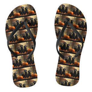 Labrador Puppy Autumn Delight Pumpkin  Thongs