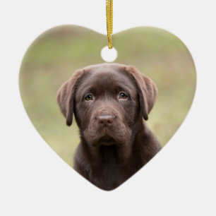 Labrador Puppy Ceramic Ornament