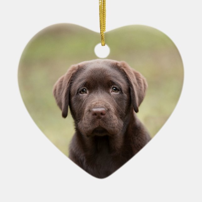 Labrador Puppy Ceramic Ornament (Front)