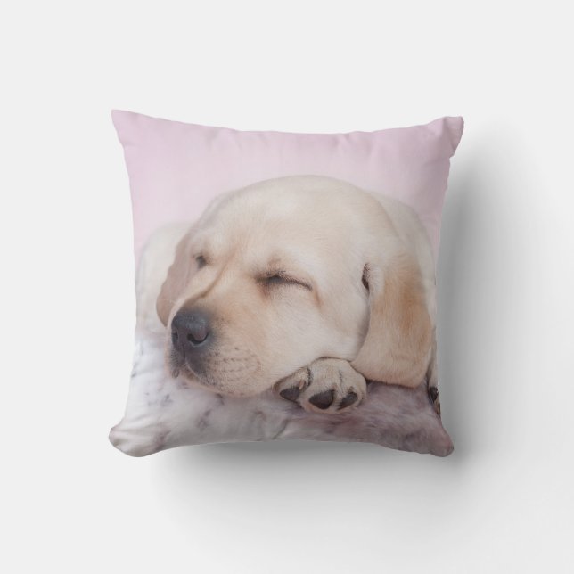 Labrador puppy cushion (Front)