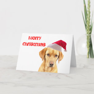 Labrador Puppy on a Christmas Card