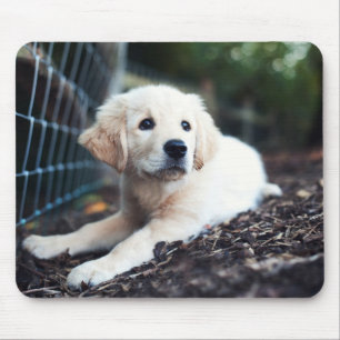 Labrador Puppy Playing In The Garden Mouse Pad