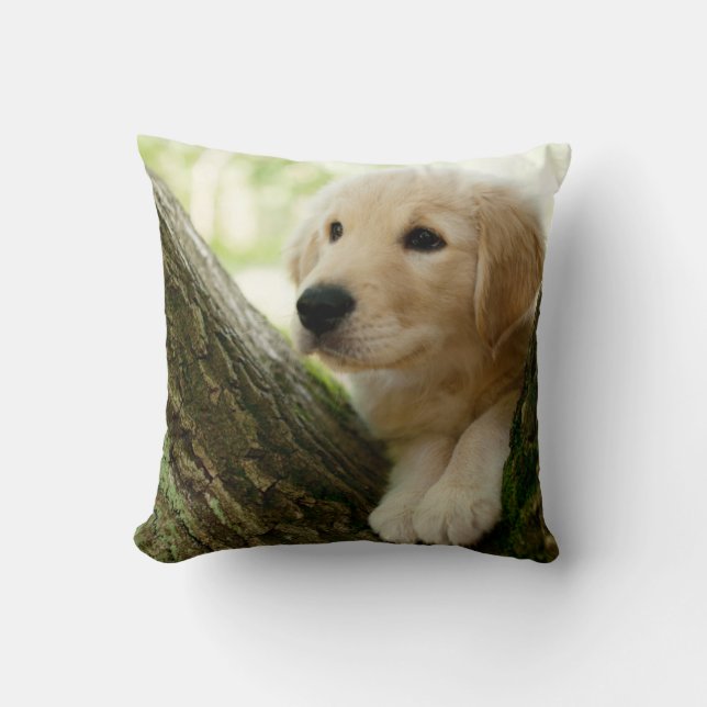 Labrador Puppy Sitting In A Woodland Setting Cushion (Front)