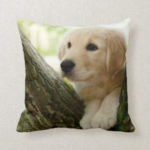 Labrador Puppy Sitting In A Woodland Setting Cushion