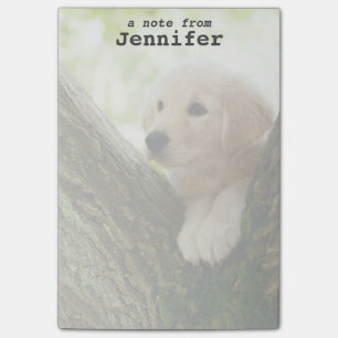 Labrador Puppy Sitting In A Woodland Setting Post-it Notes