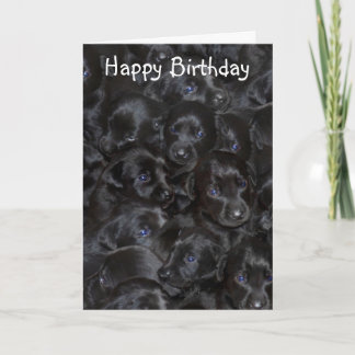 Labrador pups, Happy Birthday. Card