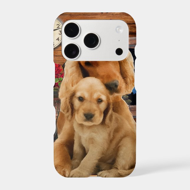 Labrador retriever (Back)