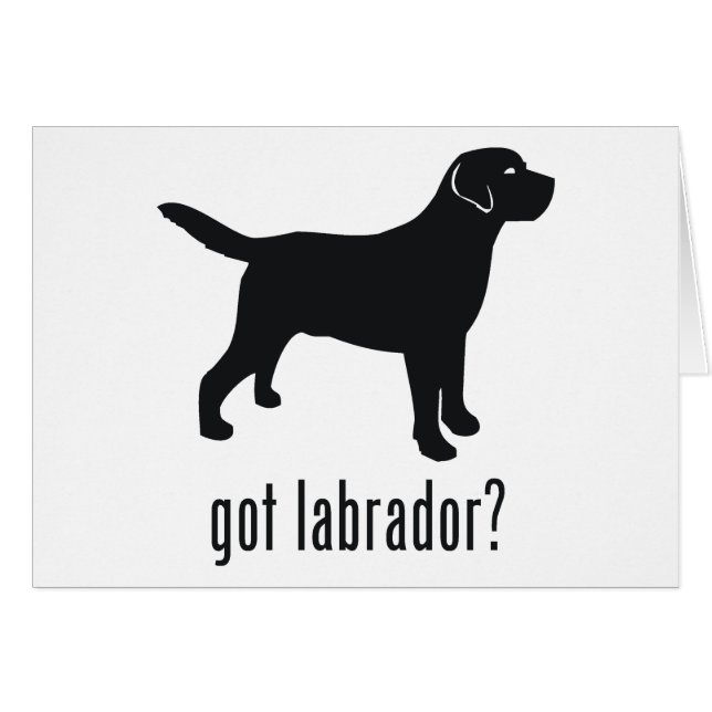Labrador Retriever (Front Horizontal)